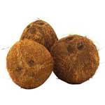 COCOS SECOS RD - 1 EA