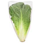 LECHUGA ROMAINE CELLO CALIFOR. - 1 EA