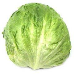Lechuga Americana -