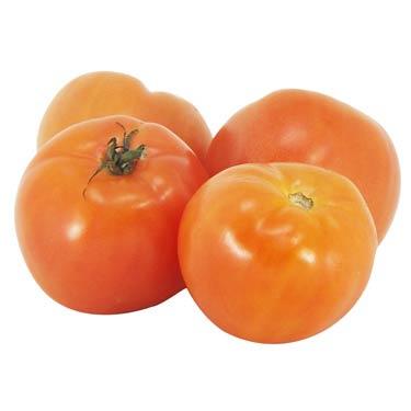Tomate -